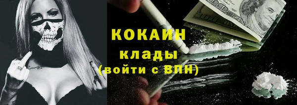 шишки Аркадак