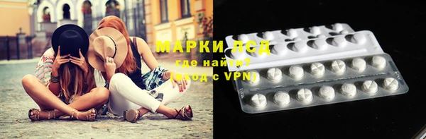 шишки Аркадак