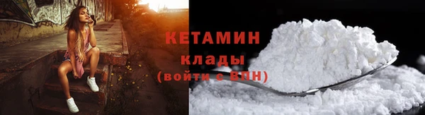 шишки Аркадак