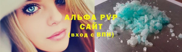 шишки Аркадак