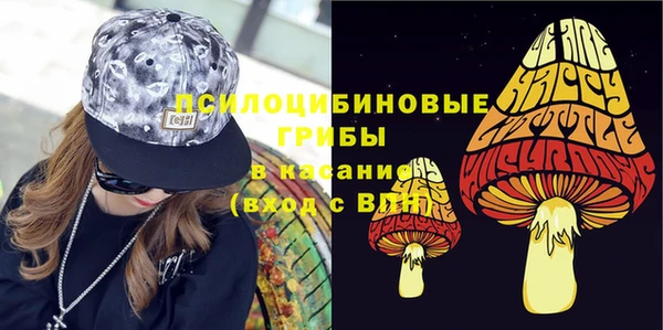 крисы Армянск