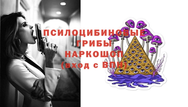 шишки Аркадак
